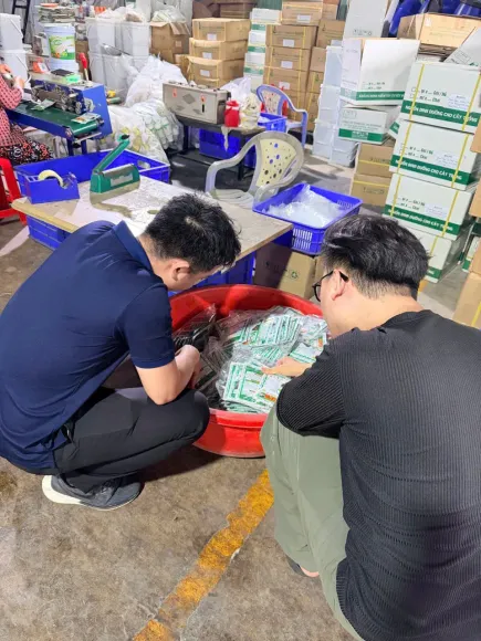 Dự án