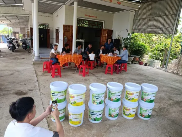 Dự án